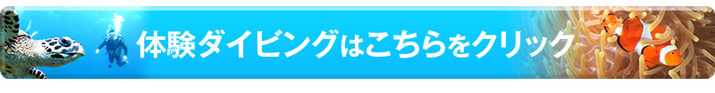 体験ダイビングはこちら